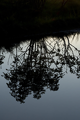 Image showing Silhouette Girl