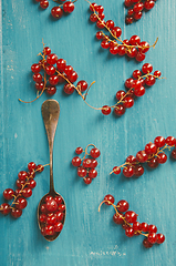 Image showing Red Currant