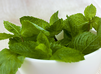 Image showing green aromatic mint