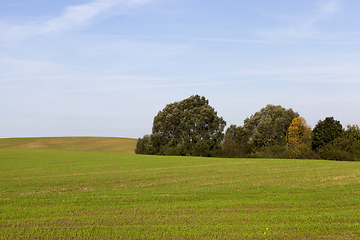 Image showing agricultural field