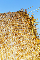 Image showing dry yellow straw