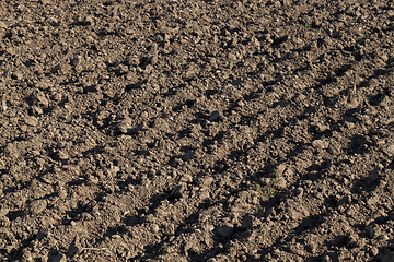 Image showing plowed field