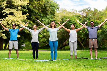 Image showing group of people doing yoga at summer park