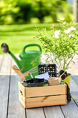 Image showing box with garden tools in summer