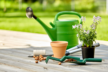 Image showing garden tools and flowers on wooden terrace