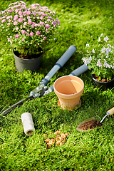 Image showing garden tools and flowers on grass at summer