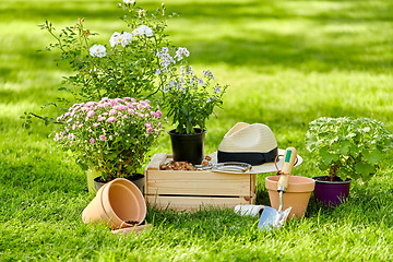 Image showing garden tools, wooden box and flowers at summer