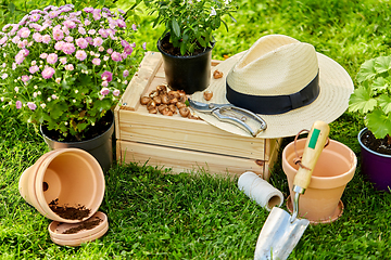 Image showing garden tools, wooden box and flowers at summer