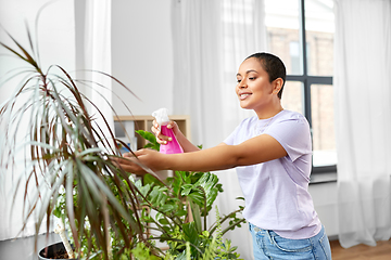 Image showing woman spraying houseplant with water at home