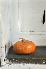 Image showing Pumpkin