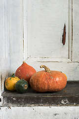 Image showing Pumpkins