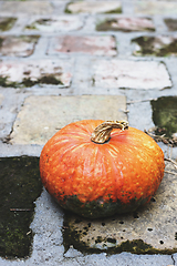 Image showing Pumpkin