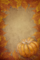 Image showing pumpkin and maple leaves