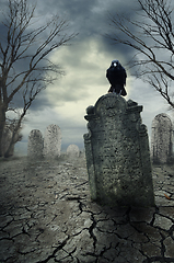 Image showing Crow on the tombstone