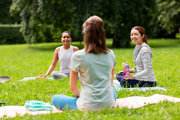 Image showing group of people sitting on yoga mats at park