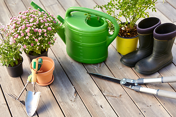 Image showing garden tools, flower seedlings and rubber boots
