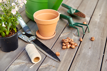 Image showing garden tools and flowers on wooden terrace