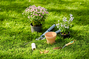 Image showing garden tools and flowers on grass at summer