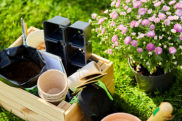 Image showing garden tools in wooden box at summer