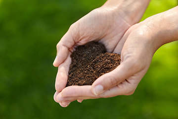 Image showing cupped hands holding soil in shape of heart