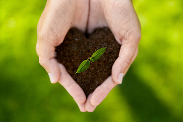 Image showing hands holding plant growing in handful of soil