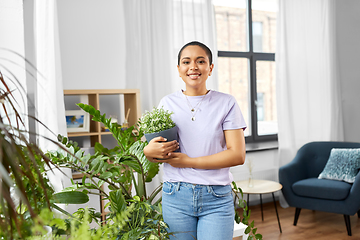 Image showing african american woman with plants at home