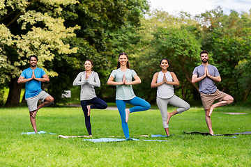 Image showing group of people doing yoga at summer park