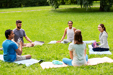 Image showing group of people sitting on yoga mats at park