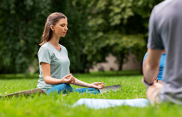 Image showing group of people doing yoga at summer park