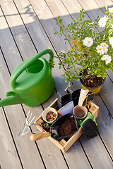 Image showing box with garden tools and watering can in summer