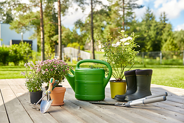 Image showing garden tools, flower seedlings and rubber boots