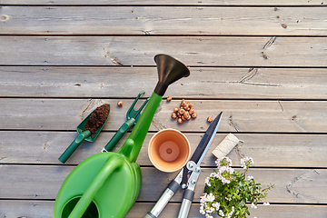 Image showing garden tools and flowers on wooden terrace