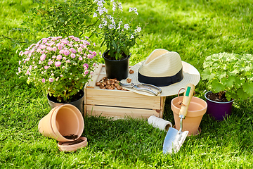 Image showing garden tools, wooden box and flowers at summer