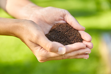 Image showing cupped hands holding soil in shape of heart