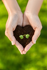 Image showing hands holding plant growing in handful of soil