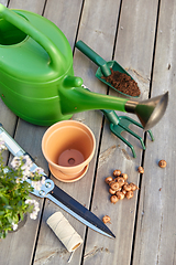 Image showing garden tools and flowers on wooden terrace