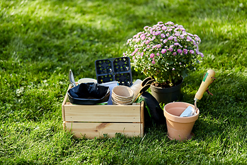 Image showing garden tools in wooden box at summer