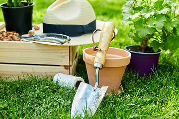 Image showing garden tools, wooden box and flowers at summer