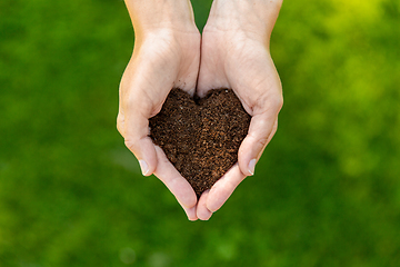 Image showing cupped hands holding soil in shape of heart