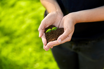 Image showing hands holding plant growing in handful of soil