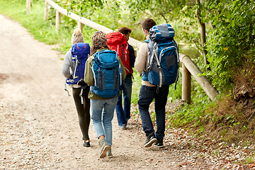 Image showing group of friends with backpacks hiking