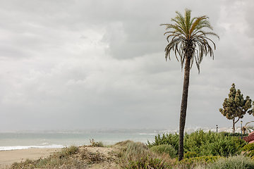 Image showing Marbella beach, Spain