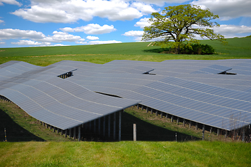 Image showing Rows of solar panels and green nature