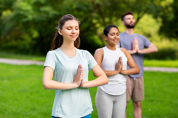 Image showing group of people doing yoga at summer park