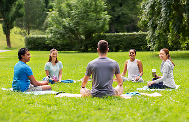 Image showing group of people sitting on yoga mats at park