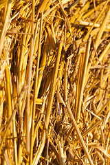 Image showing twisted stack of straw