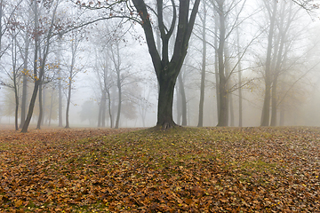 Image showing autumn park