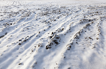 Image showing plowed soil under snow