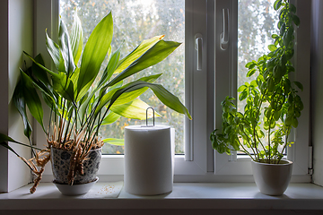 Image showing flower pots on kitchen window