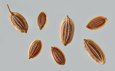 Image showing dill seeds macro